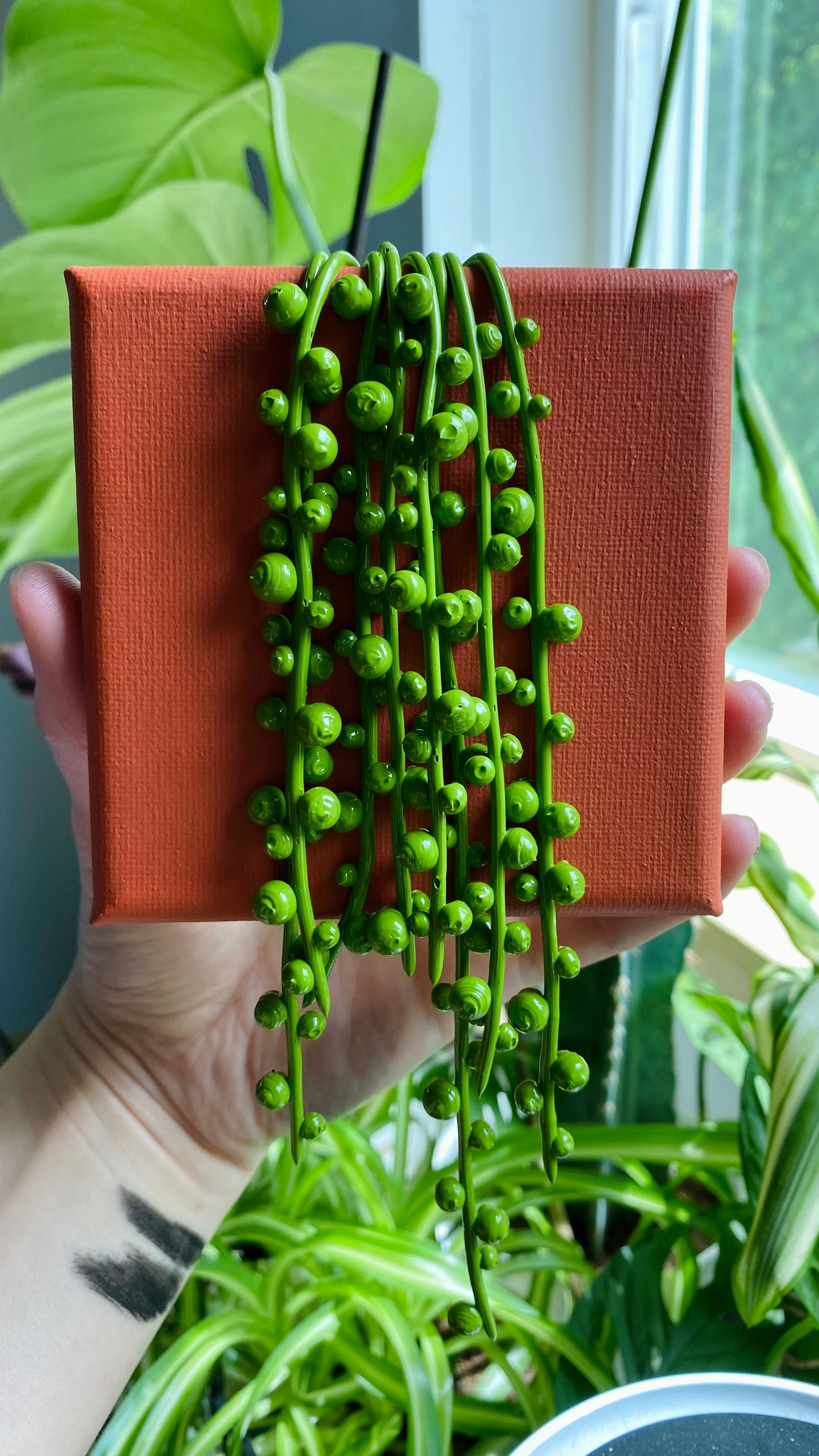Terracotta Dotty