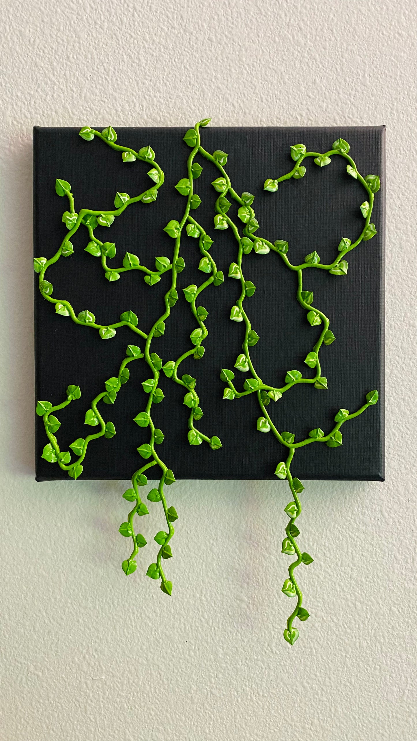 Petite Pothos