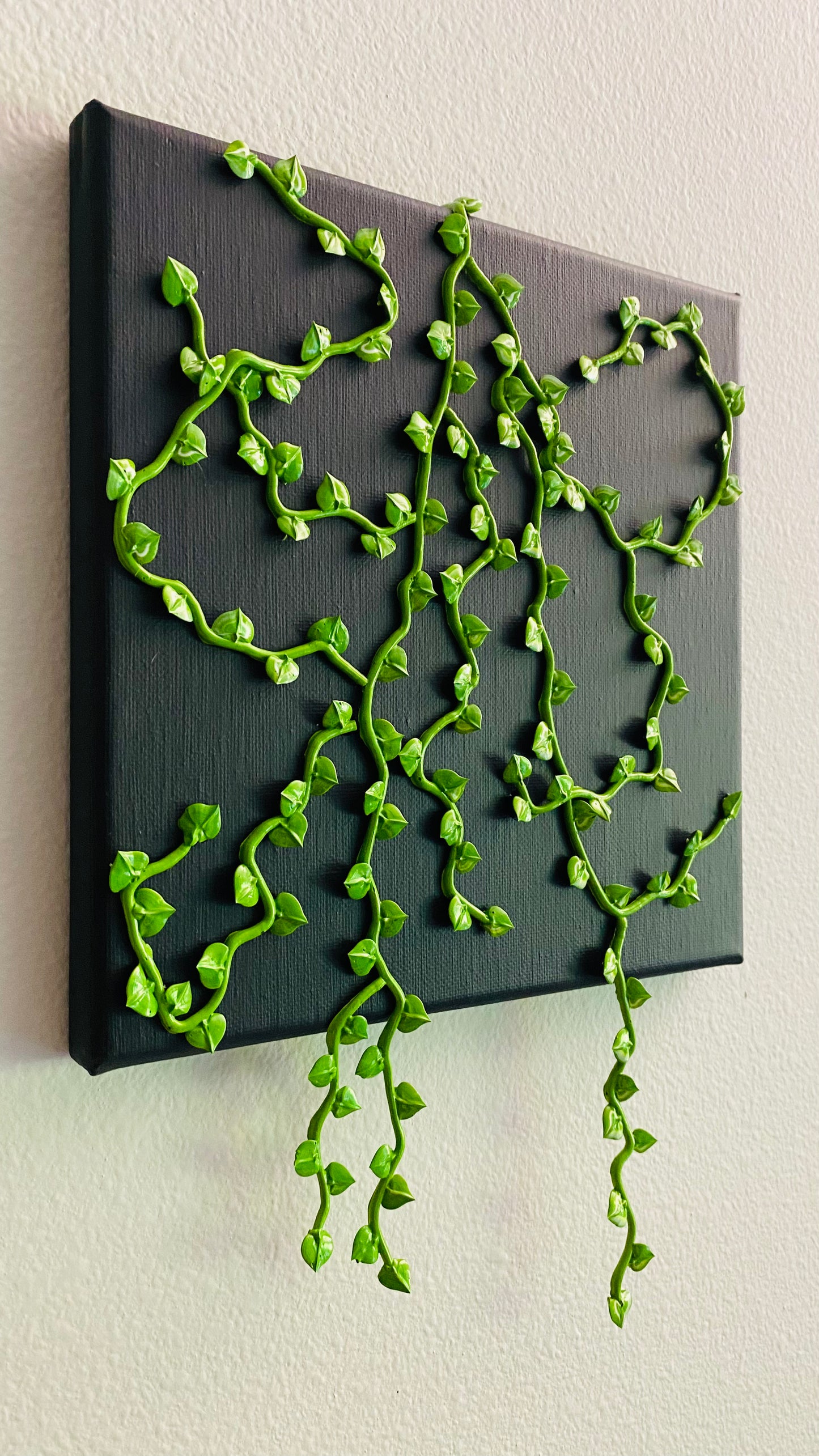 Petite Pothos
