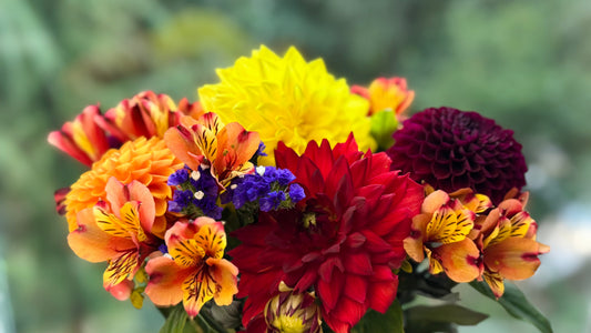 Confessions of a Flowerholic